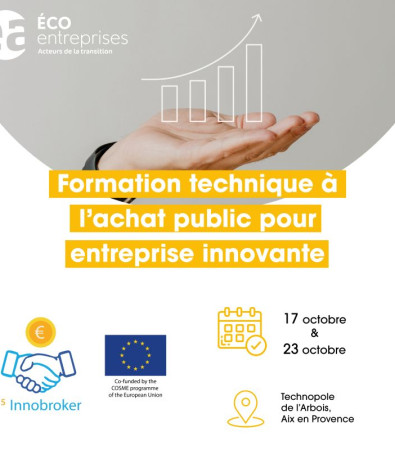 Technical training in public procurement for innovative companies